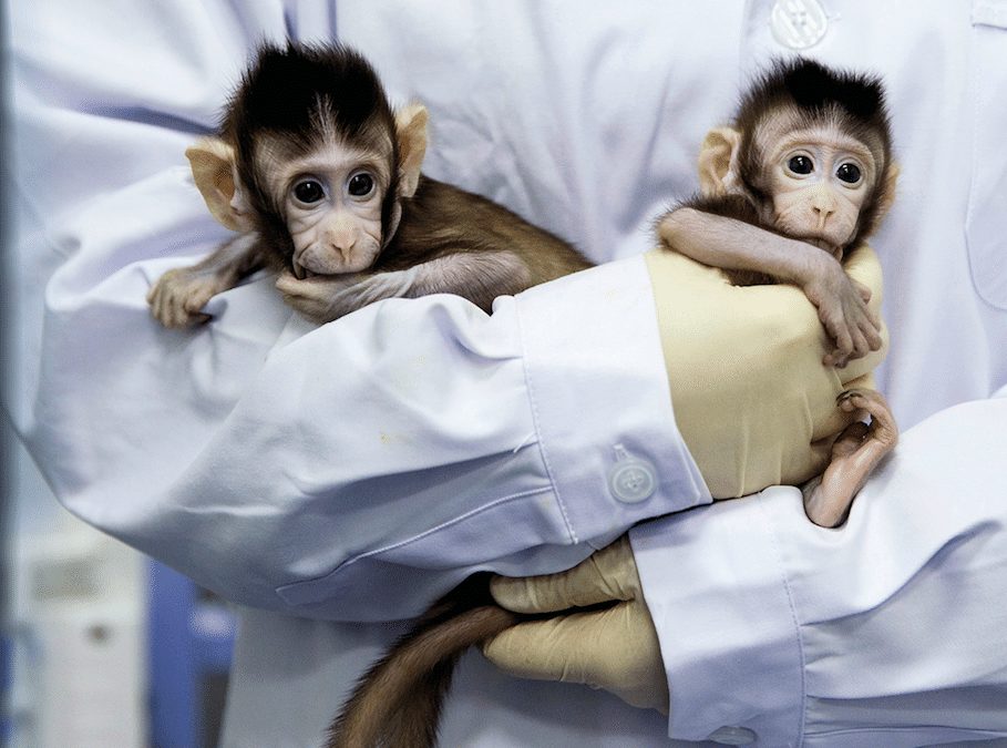 Lemanika. Научные открытия с биологом Ильей Колмановским