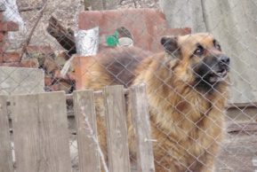 Бульдозером по нахаловке