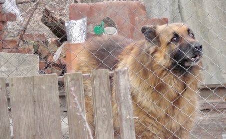 Бульдозером по нахаловке