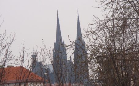 Надежды осени