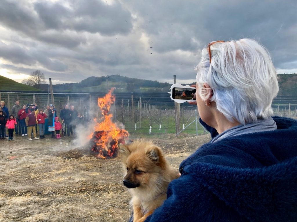 Масленица пела в Швейцарии на разных языках