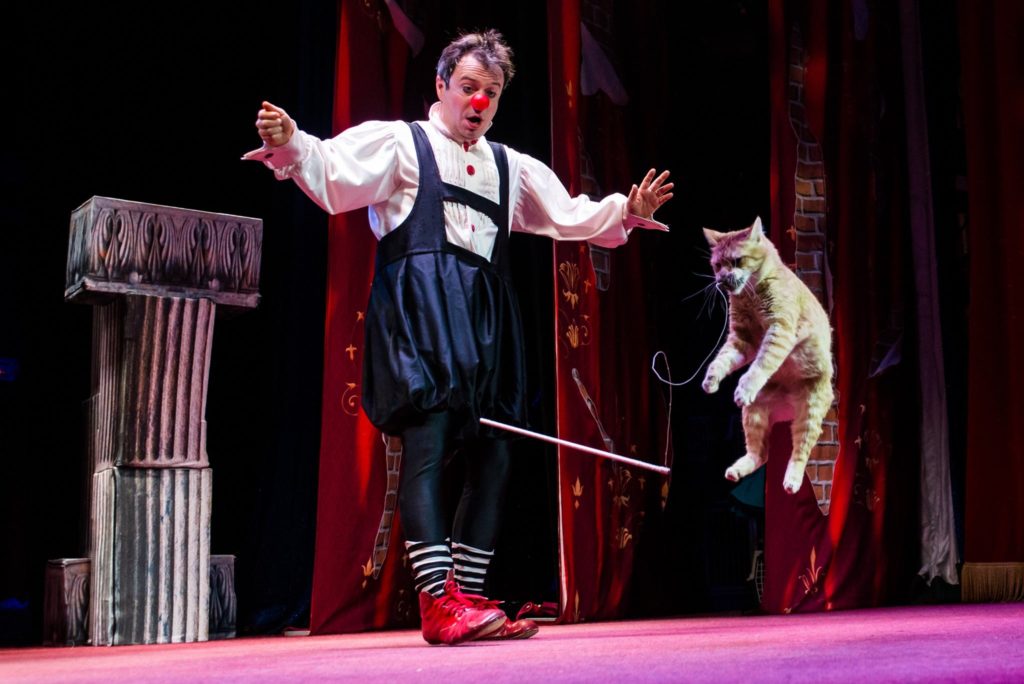 (© Московский театр кошек Куклачева)
