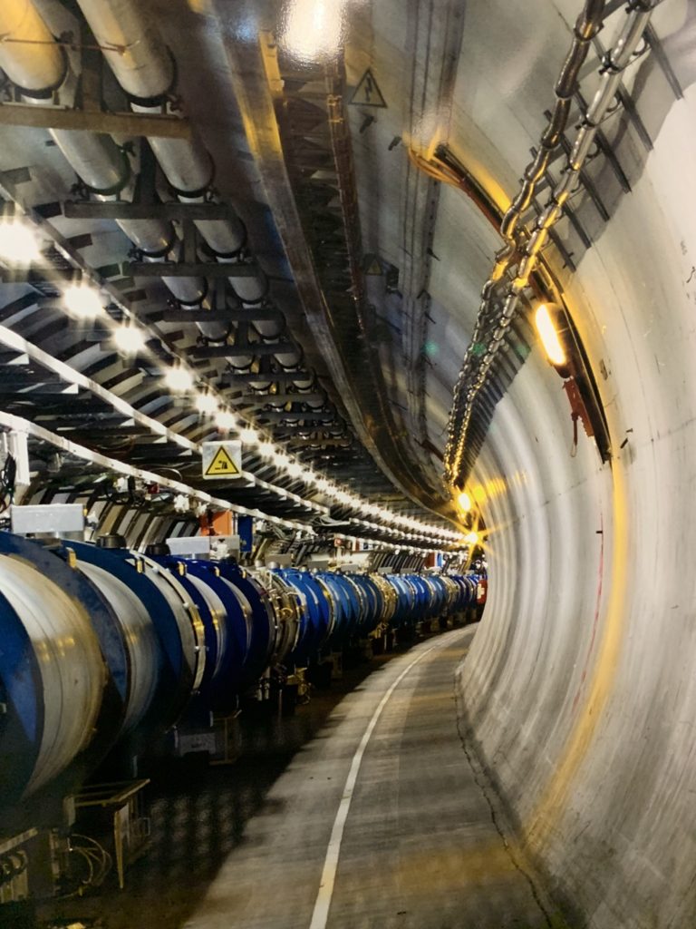 Вот так это выглядит под землей. (© Lemanika)