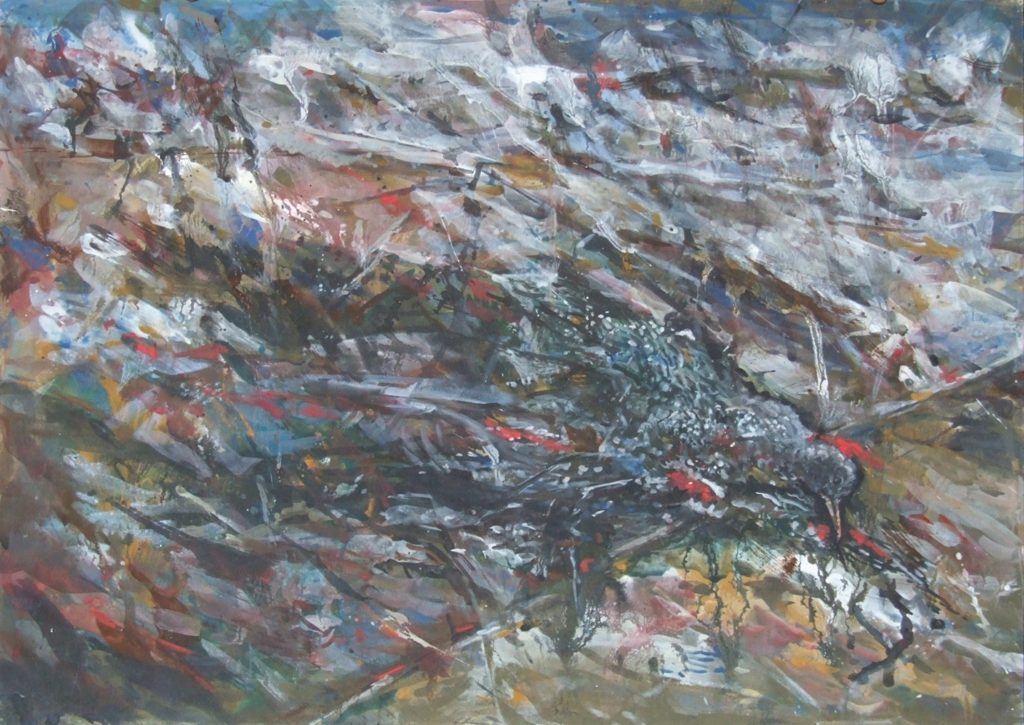 Из цикла "Птицы". (© Николай Эстис)