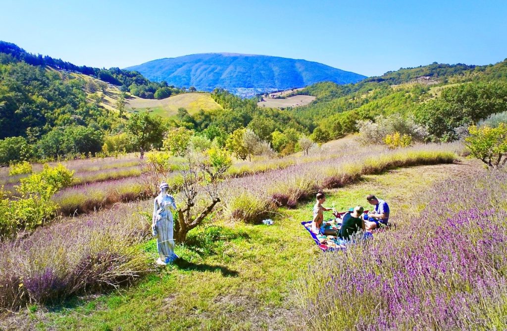 Психологии известно точно: уютная нечеткость природного ландшафта обладает целебными свойствами. (Incantico)