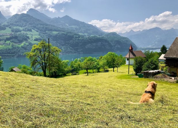 Майские хроники карантина