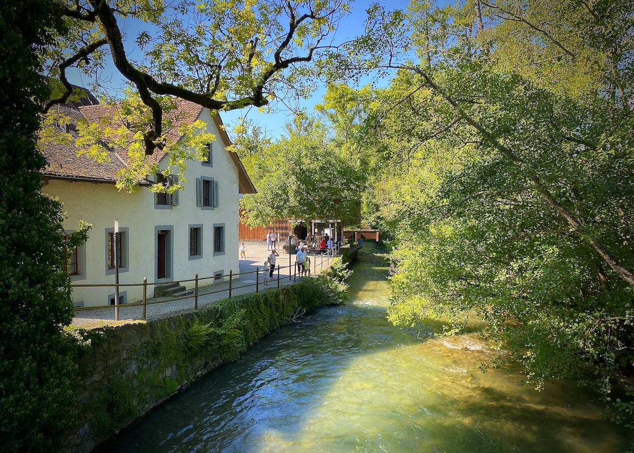 День знаний на мельнице Хальвильского замка объединил почти 50 человек.(© forall.swiss)