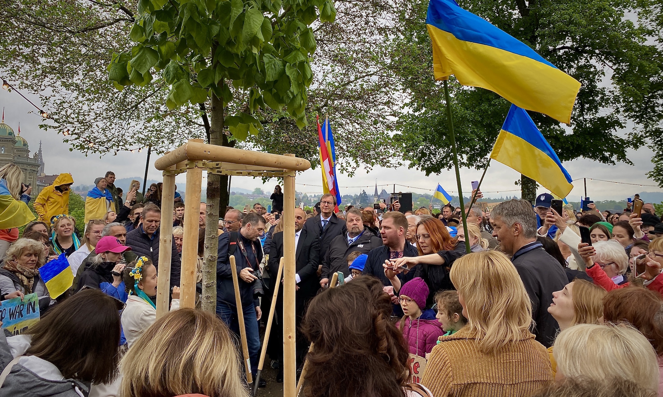 Ко Дню памяти и примирения в парке Kleine Schanze Берна высадили липу и кусты калины. 6 мая 2022 г. (© forall.swiss)