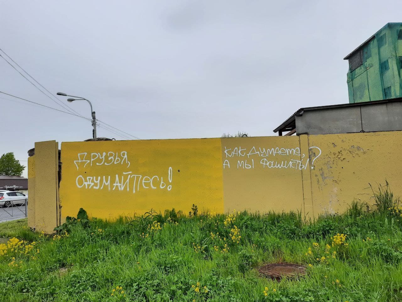 Снимок сделан волонтерами. Молодёжное демократическое движение «Весна» (Фото: https://telegram.org/