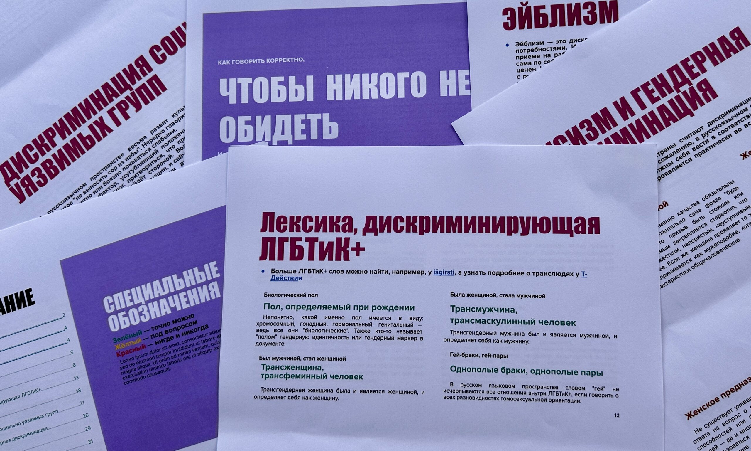 Фрагменты проекта брошюры «Как говорить корректно, чтобы никого не обидеть». 1 февраля 2024 г. (© forall.swiss)