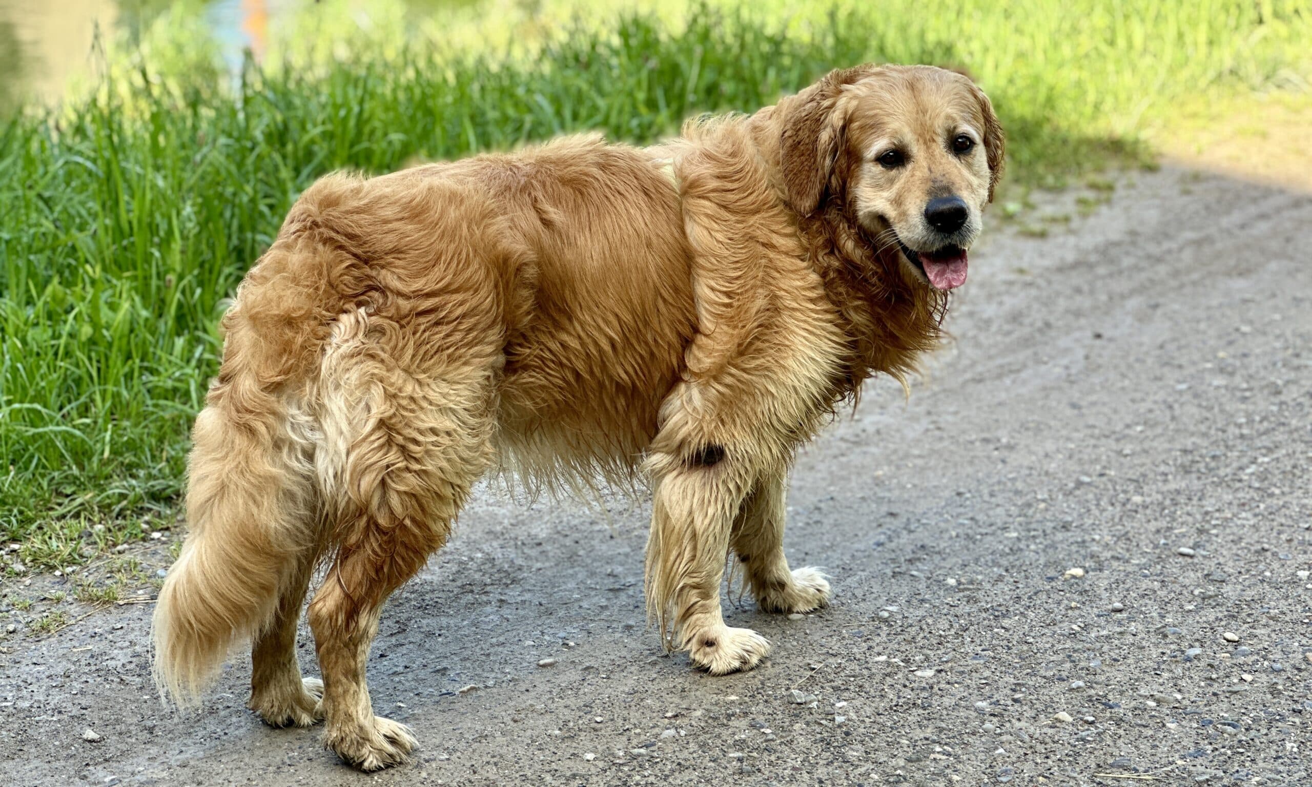 В 2024 году от Рождества Христова в Цюрихе часто шли дожди. 18 июня. (© forall.swiss)