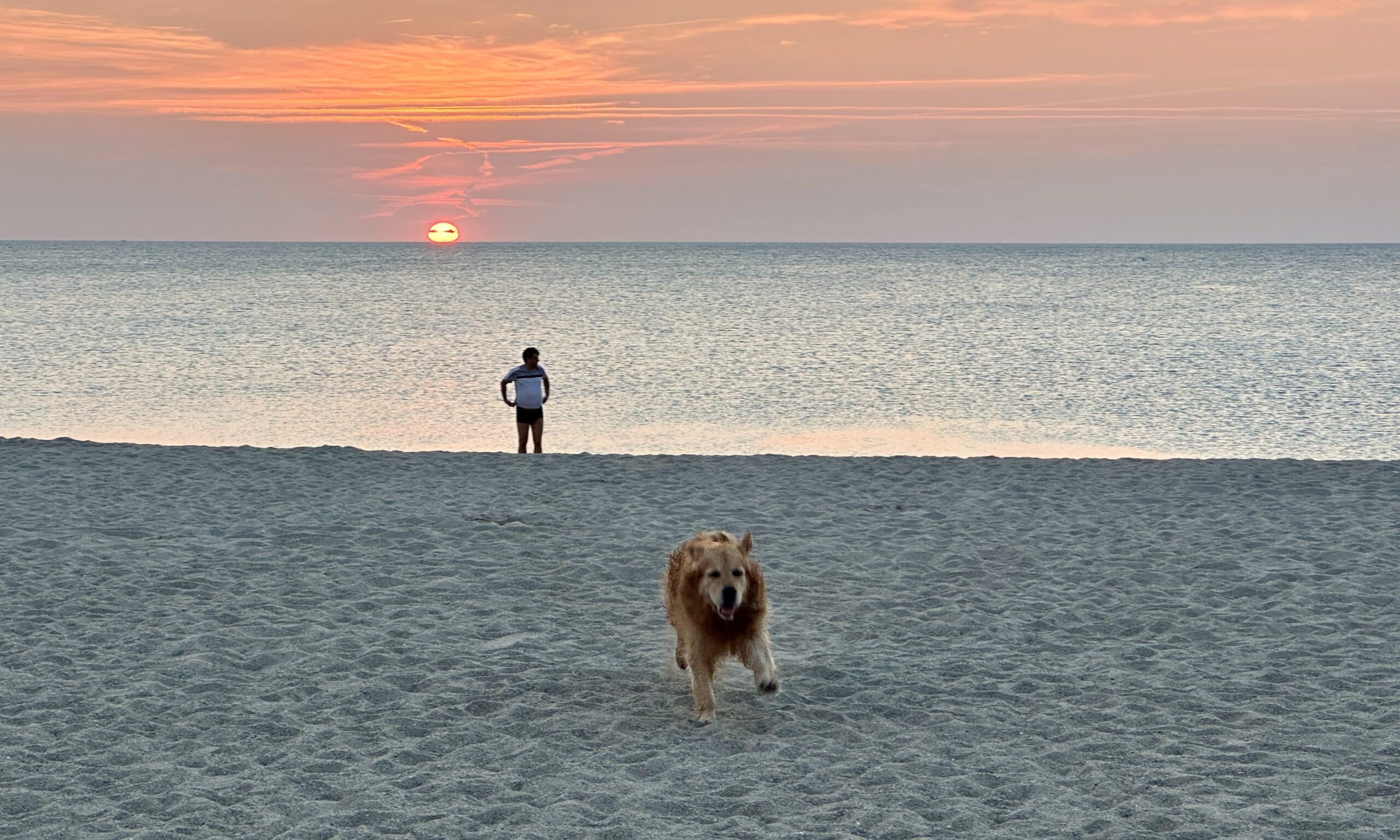 «Мы расстались на рассвете». Аржеле-сюр-Мер, 7 августа 2024 г. (© forall.swiss)