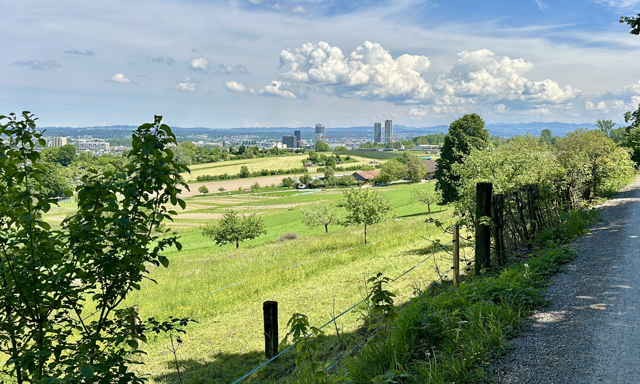 В июне 1799 года на этих полях сражались французские и австрийские войска. Цюрих, 12 мая 2024 г. (© forall.swiss)