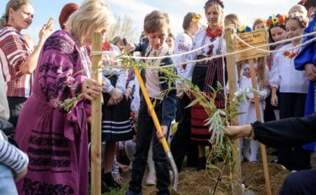 Верба Тараса раскинула зеленые ветви в парке Бруно Вебера