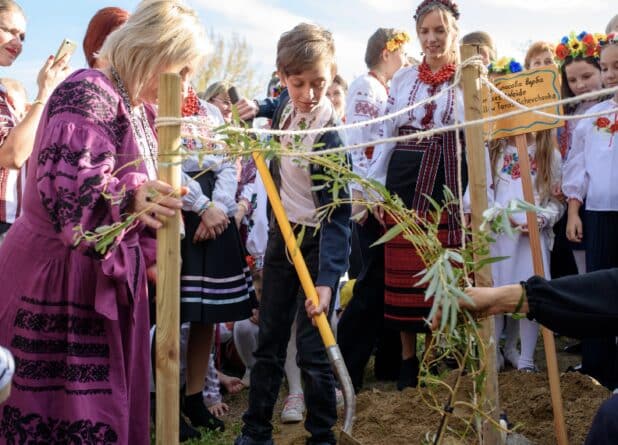 Верба Тараса раскинула зеленые ветви в парке Бруно Вебера