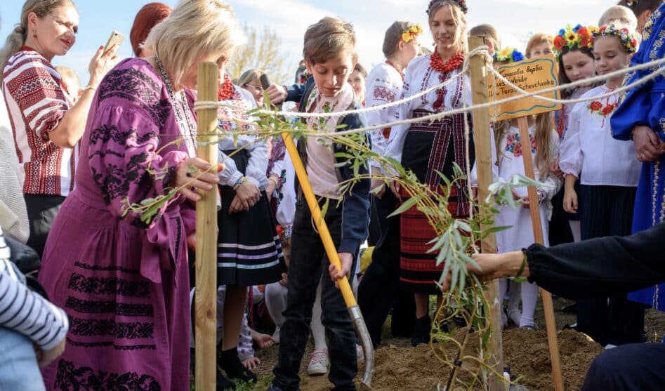 Верба Тараса раскинула зеленые ветви в парке Бруно Вебера