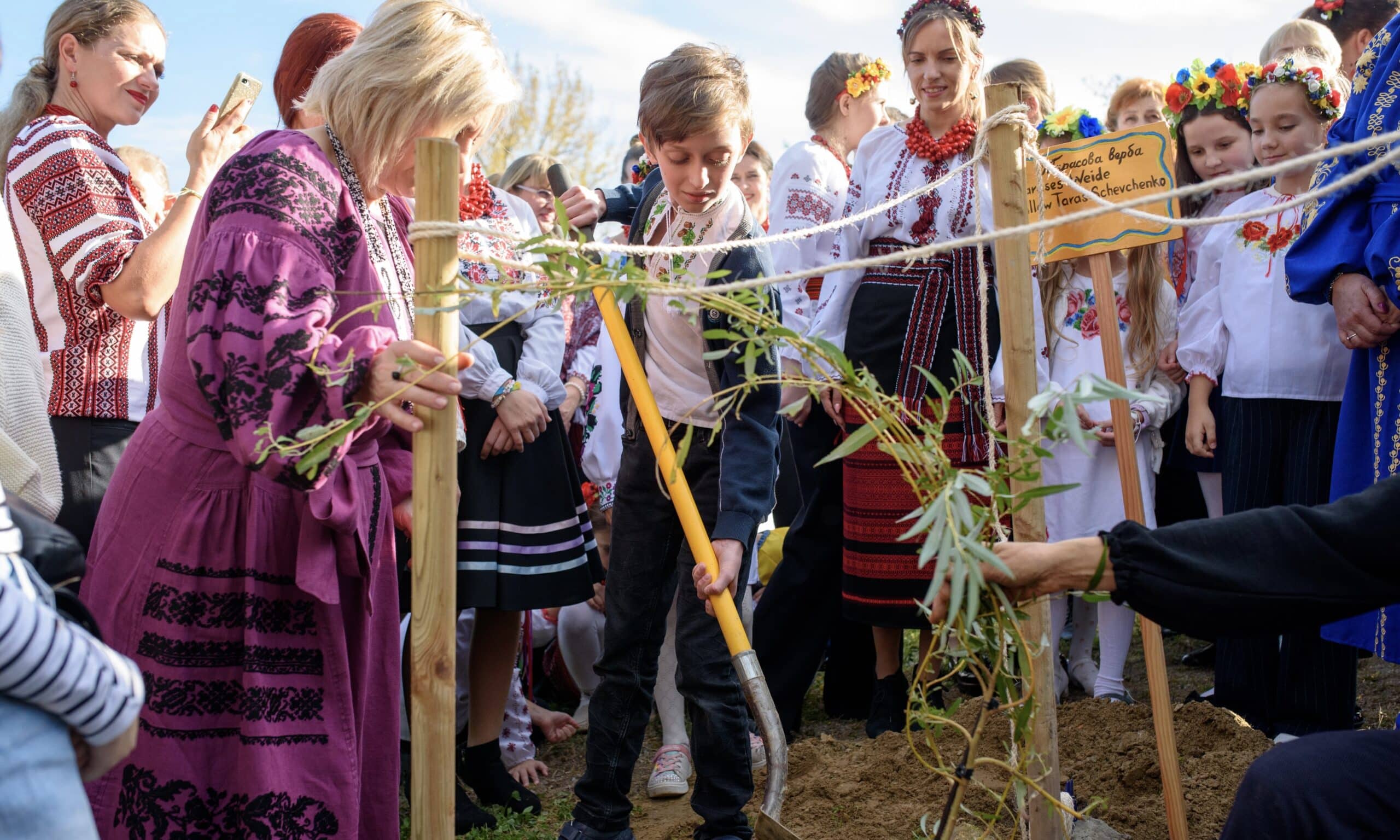Верба Тараса раскинула зеленые ветви в парке Бруно Вебера