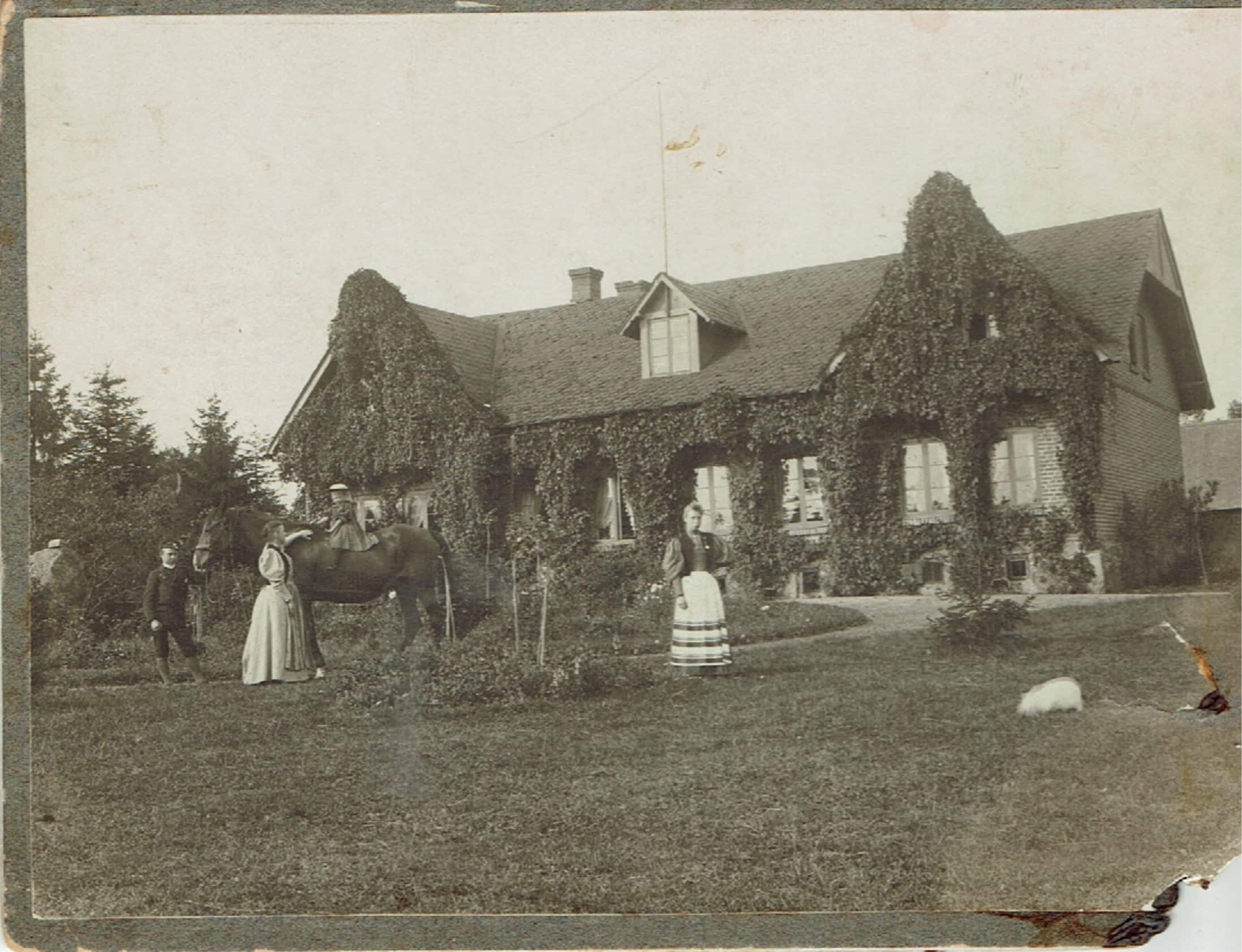 Фотография дома, который Алина Тукалло искала в Роннебю, 1908 г. (Личный архив)