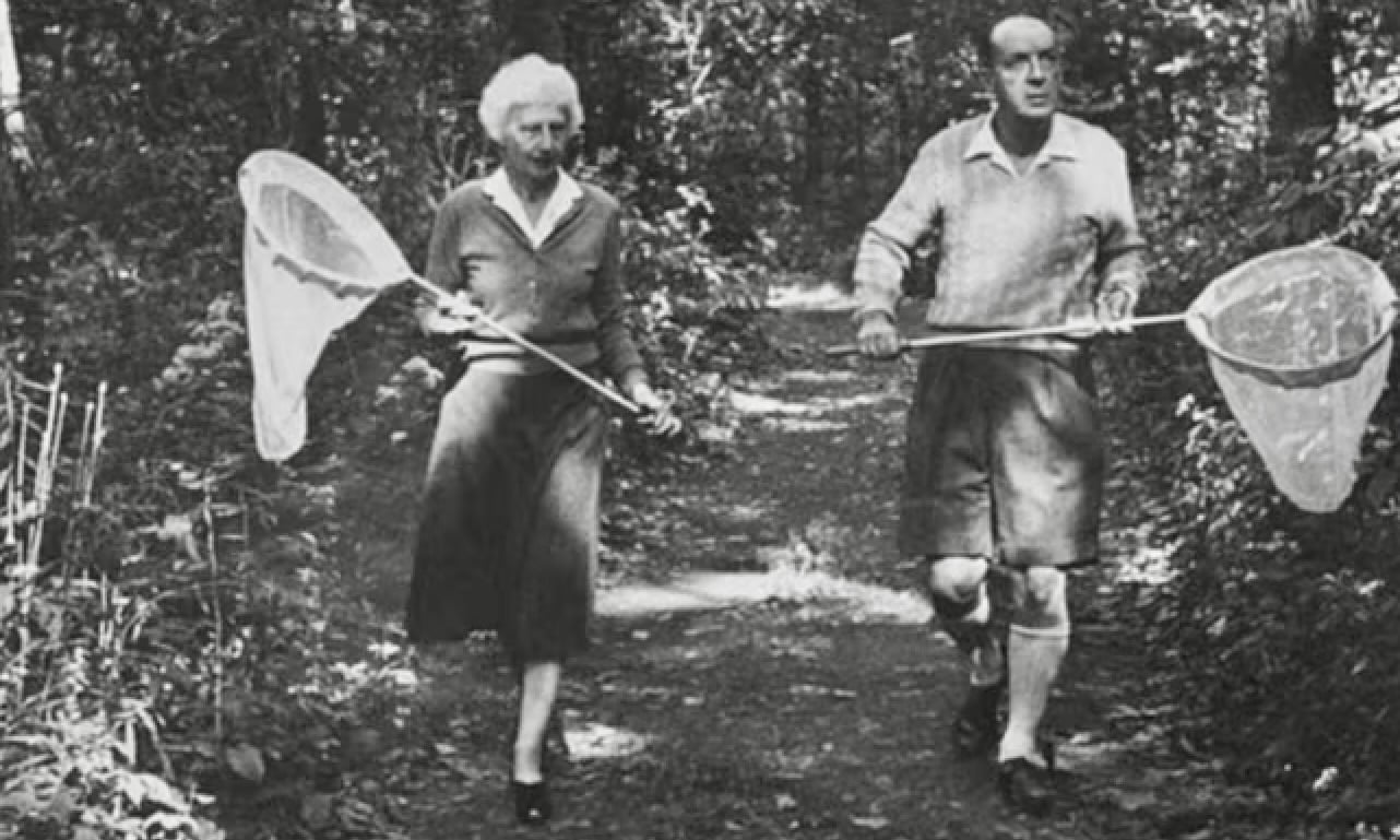 Nabokovs. Butterfly Hunt. (Courtesy Photo)