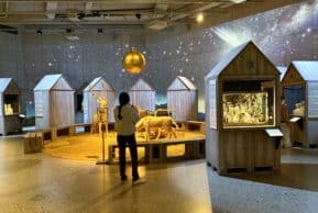 Где рождается надежда, когда мир рушится?