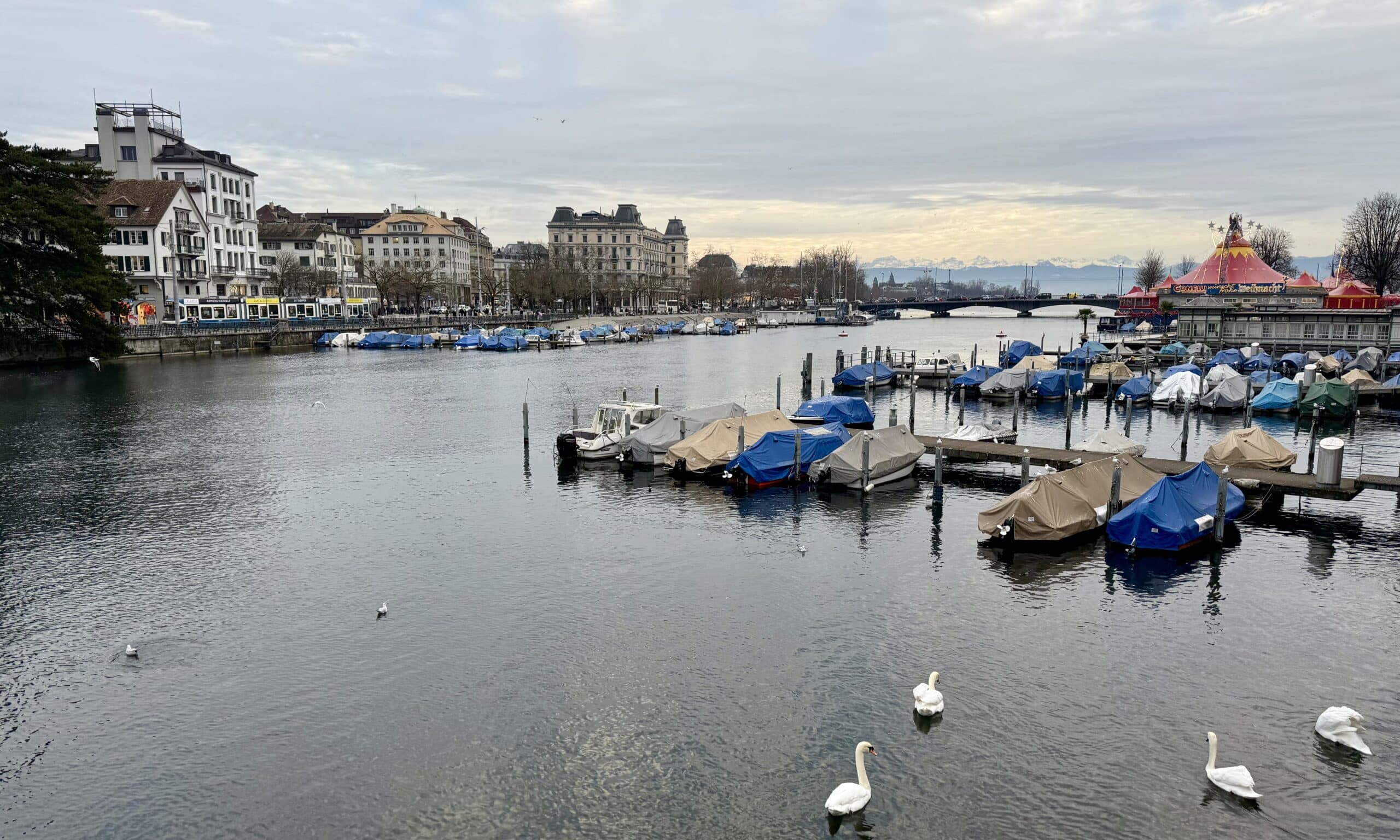 «И в догонялки с декабрём / К нам Рождество стучится в дом!» Цюрих, 19 декабря 2025 г. (© forall.swiss)
