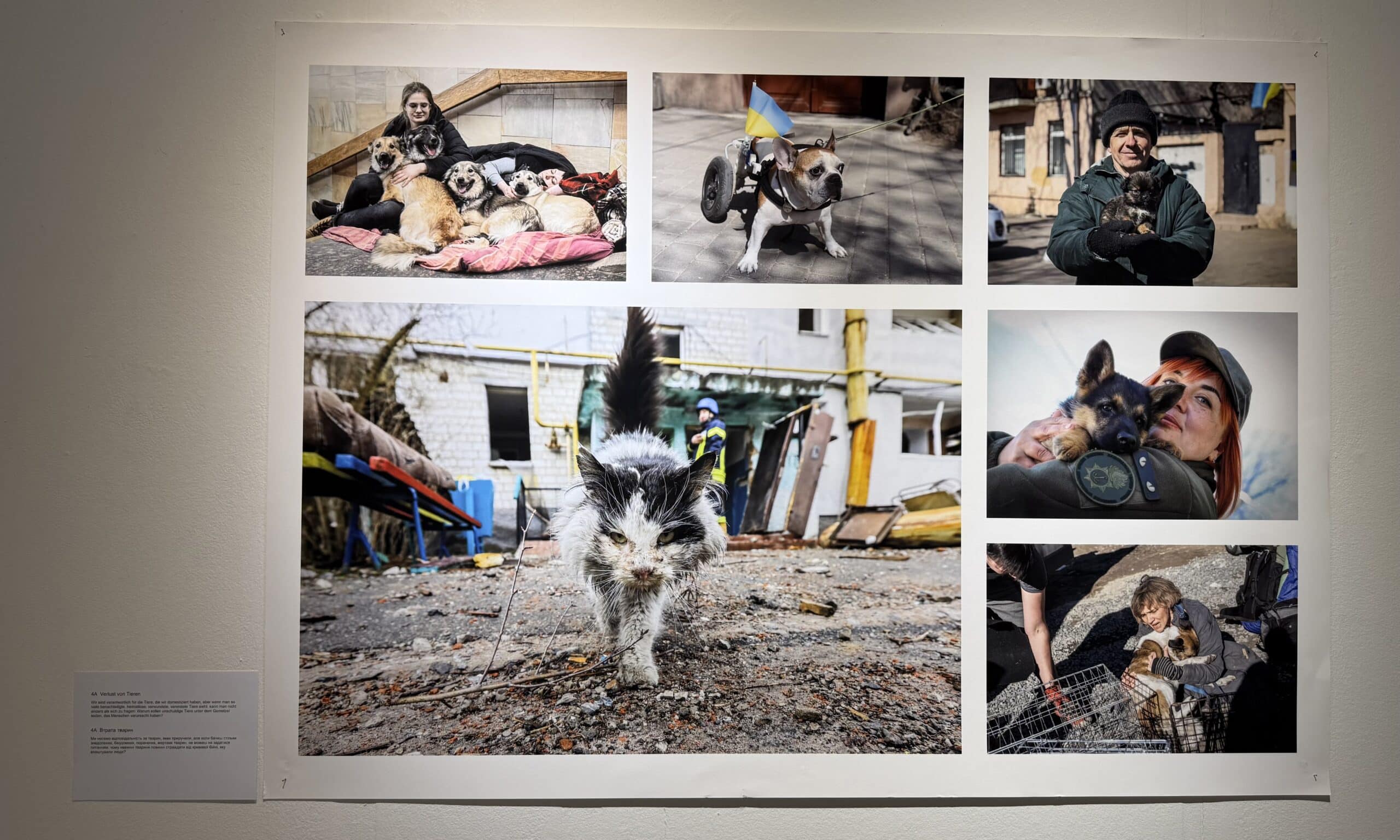 На фотовыставке «Часы войны». Photobastei Zurich, 15 января 2026 г. (© forall.swiss)