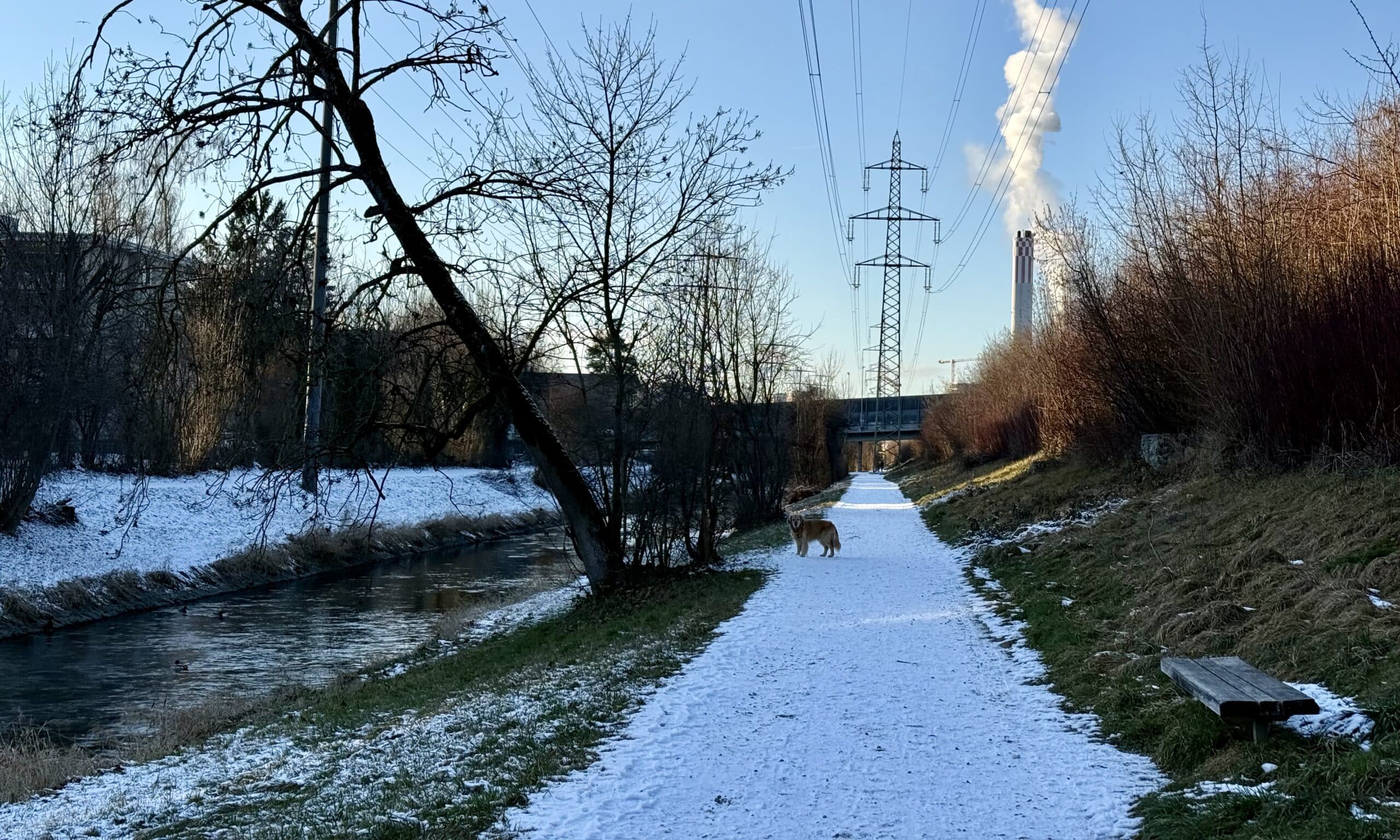 «Литературные хроники», Цюрих, Швейцария (© forall.swiss)